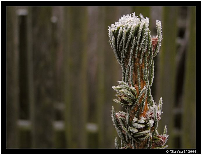 *** tady sedaval Toníček ***