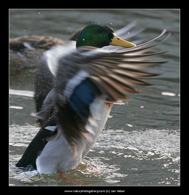 Novoroční protažení!