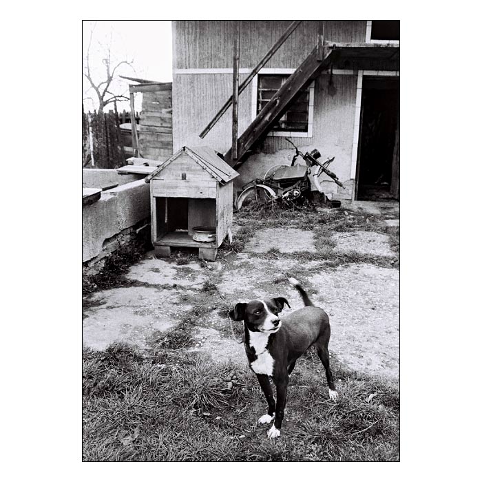 Kdo pochyboval o tom, že tady hlídám já???