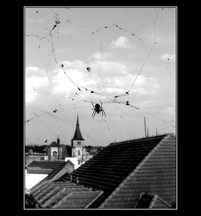 <B>Pavoučí výhled na Prahu III