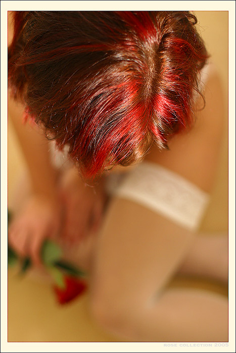 rose