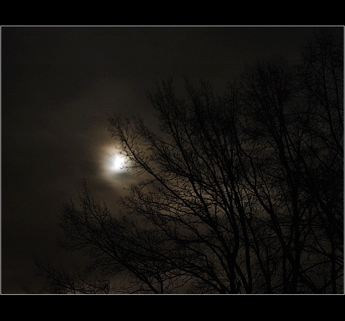 .. a umrlci vstávají