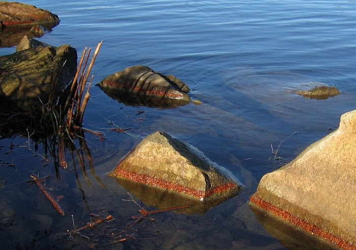 Naparáděné kameny