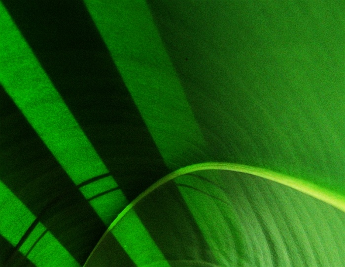 Stínohrátky z rubu