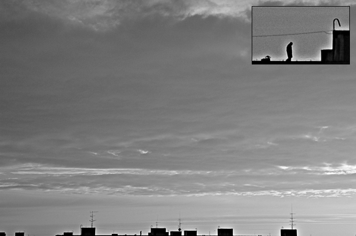Man on the roof<br>(before he jumped)