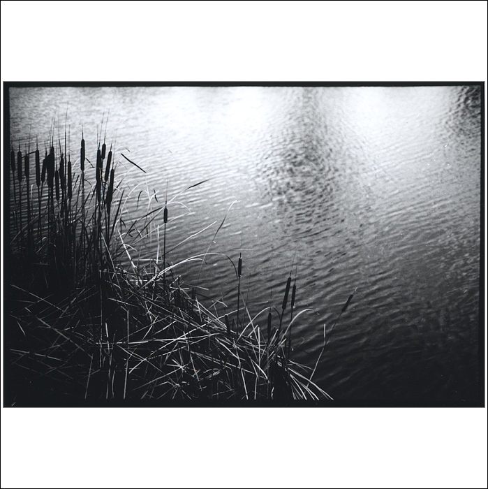 Kamenšťák: ztráta filmového panictví