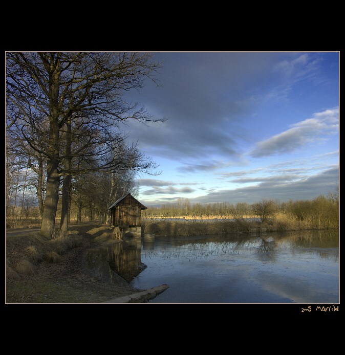  ..:: "ziMa" ::..