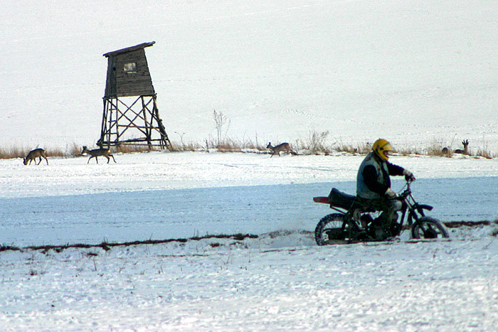 srny versus moto