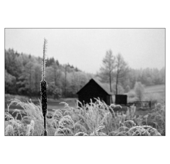 U rybníku v Modletíně