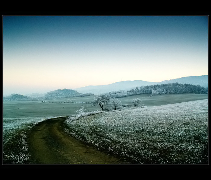 .. cesta ..