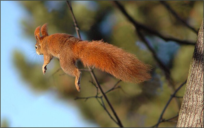 Hop a skok ...