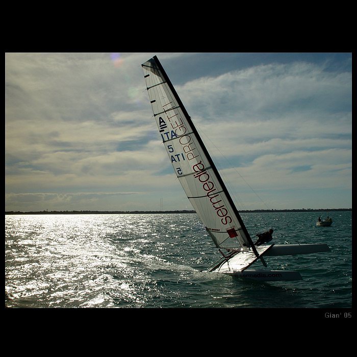 Regatta