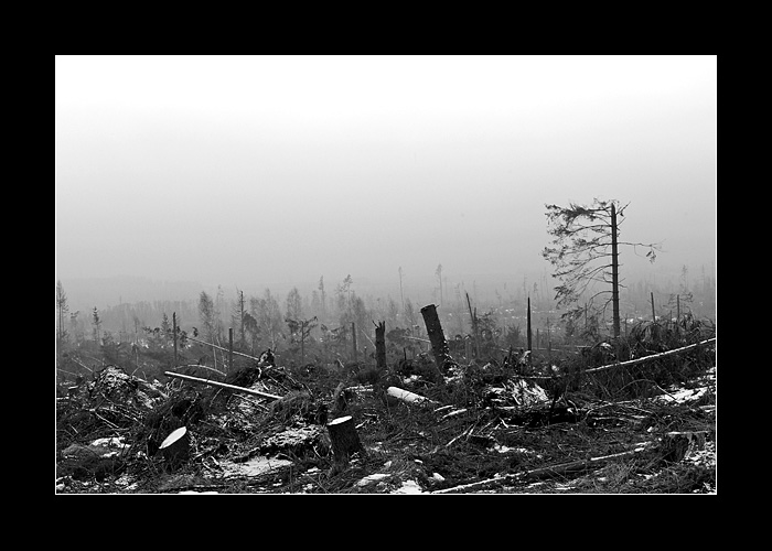 Tatry I.: Apokalypsa