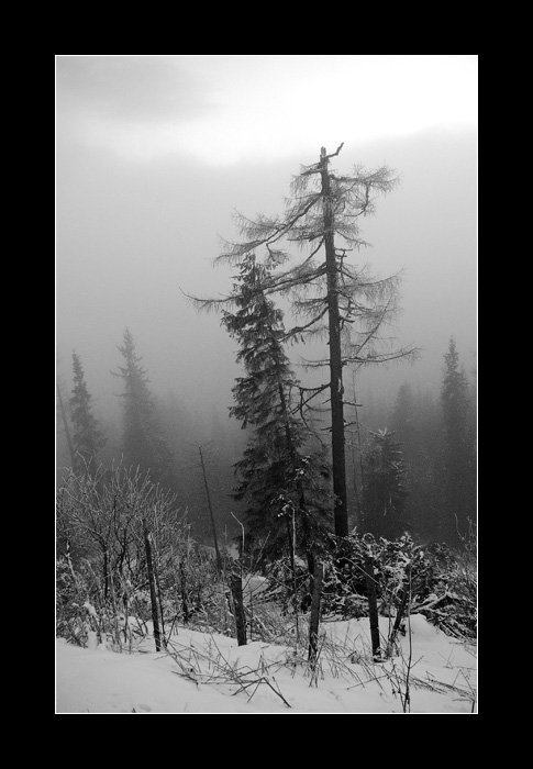 Tatry IV.: Podvecer