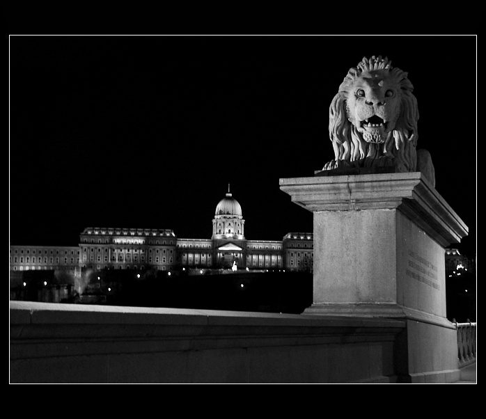 Buda by night