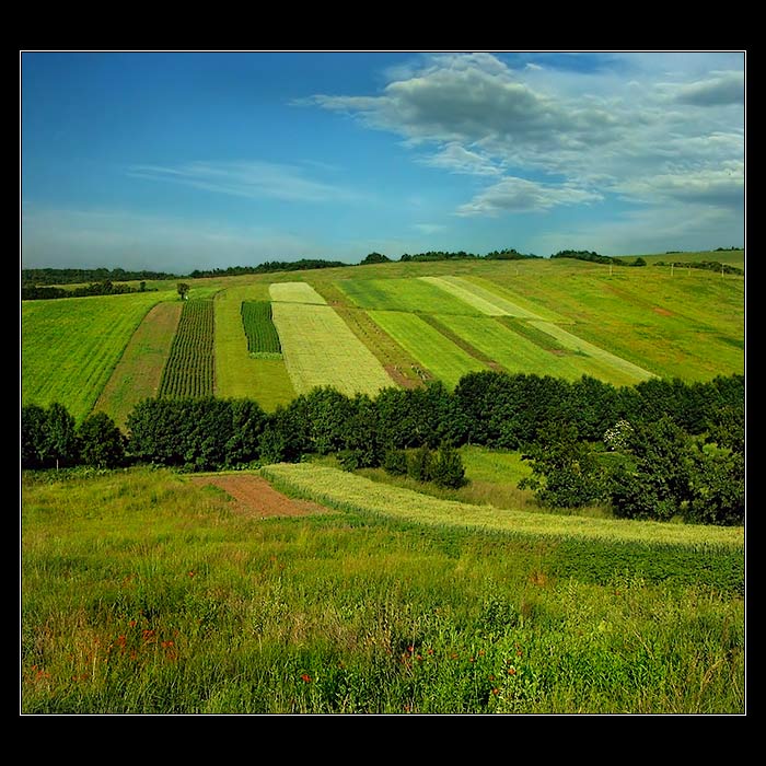VZPOMÍNKA NA JARO(..kdesi na Slovácku..)