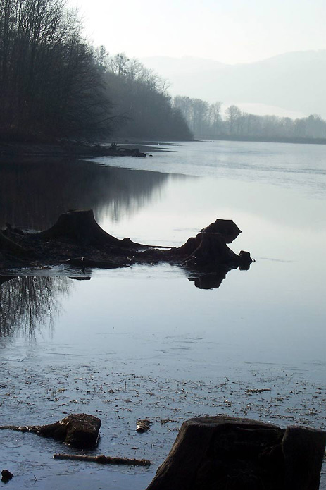 Jednoho zimního dopoledne