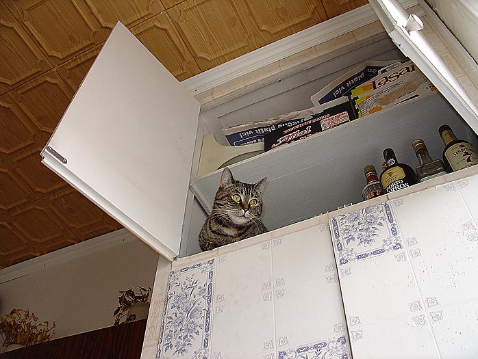 Trudy čeká na Silvestra