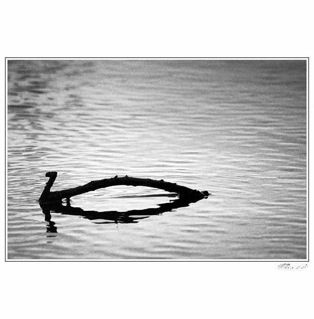 ...Lochneska...