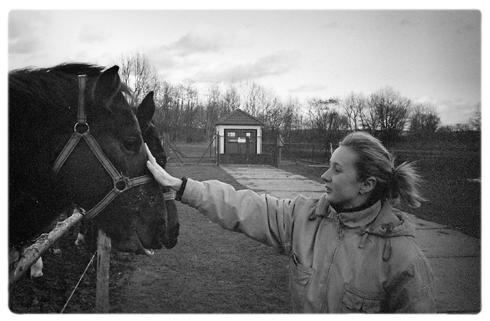 Koně II.