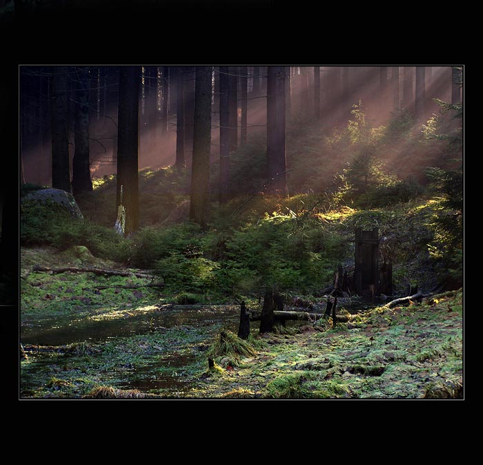 Les dle Tolkiena