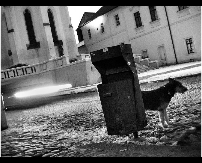 Věrný služebník