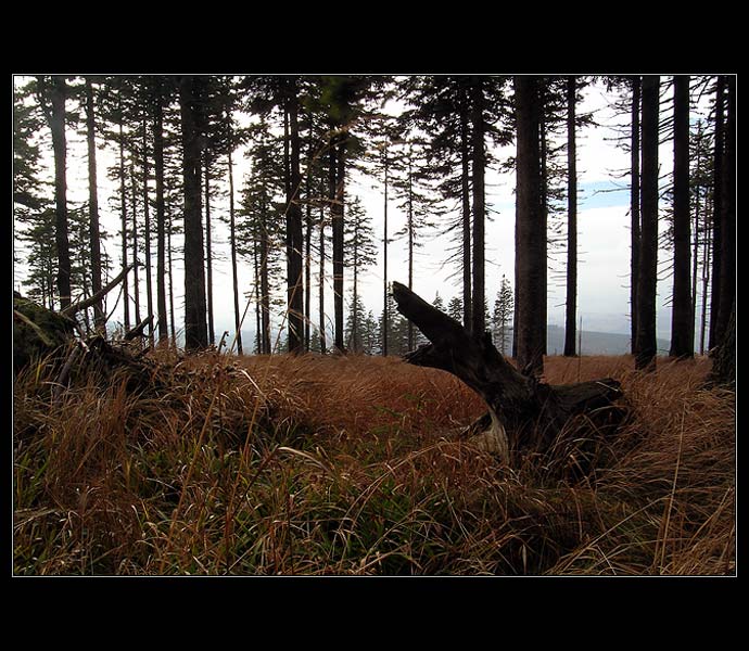 Než přijde zima...