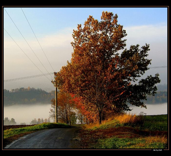 dráty a zase dráty...