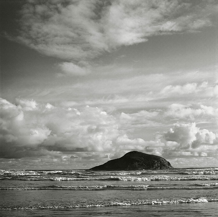 Leptokaria 1997