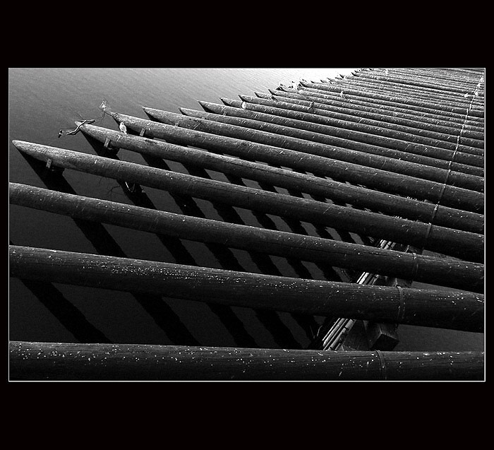 <b> Prague - angles </b>