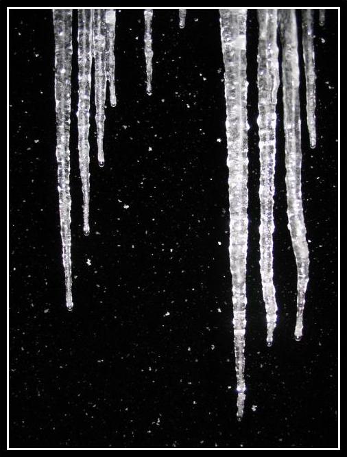 ..:: Winter ::..