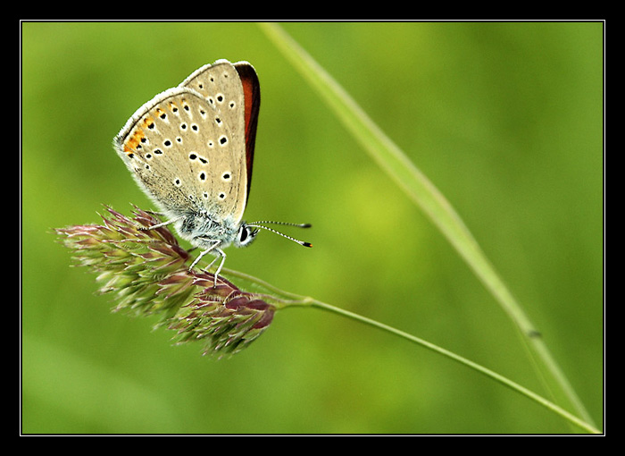 Do léta už jenom kousek