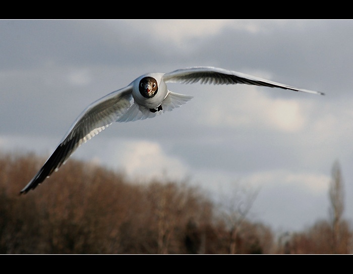 Já si létám, já se vznáším