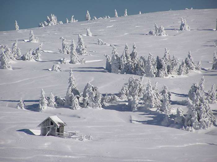 Zima na holiach