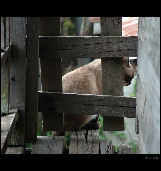 <b>KUDY TUDY ?</b><br>
