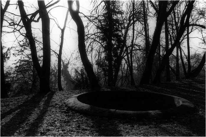 Thurnův zahradní bazén