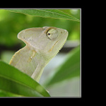 já to nebyl, to on. ale na hanbě si teda postojím, no :-(((