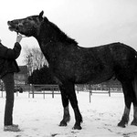 do-re-mi-fa-so-la-si-doooooooooooooo