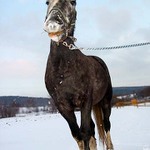 blééé z tý trávy už je ledová tříšť...