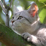 a teraz ta uz mam .....