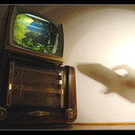 <B><U>... Home Theater ...