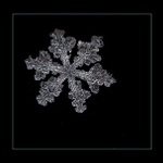 ...jen sněhová vločka...