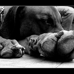 - - - Prosim nerusit - - -