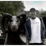 Můj kamarád muflon