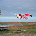 Poslední zbytky civilizace