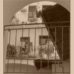 ..Jeste jedna z babiccina alba..