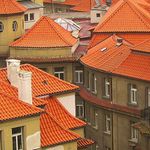 Střechy