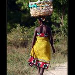 RIZIKI NI MALAJIWA NIPATATA