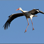 Tady si nesedej, my už máme !