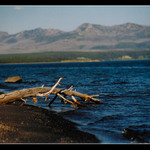 <B><U>--YELLOWSTONE LAKE--</U>